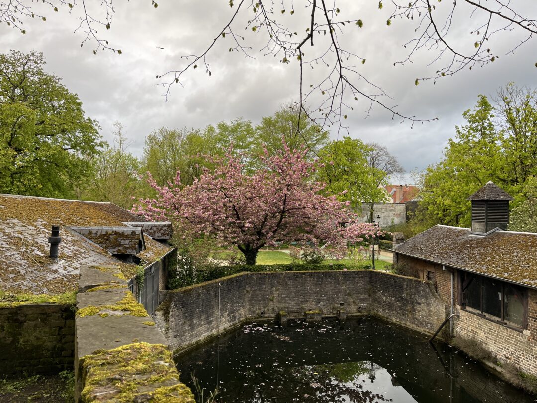 Bello Paisaje en Brujas