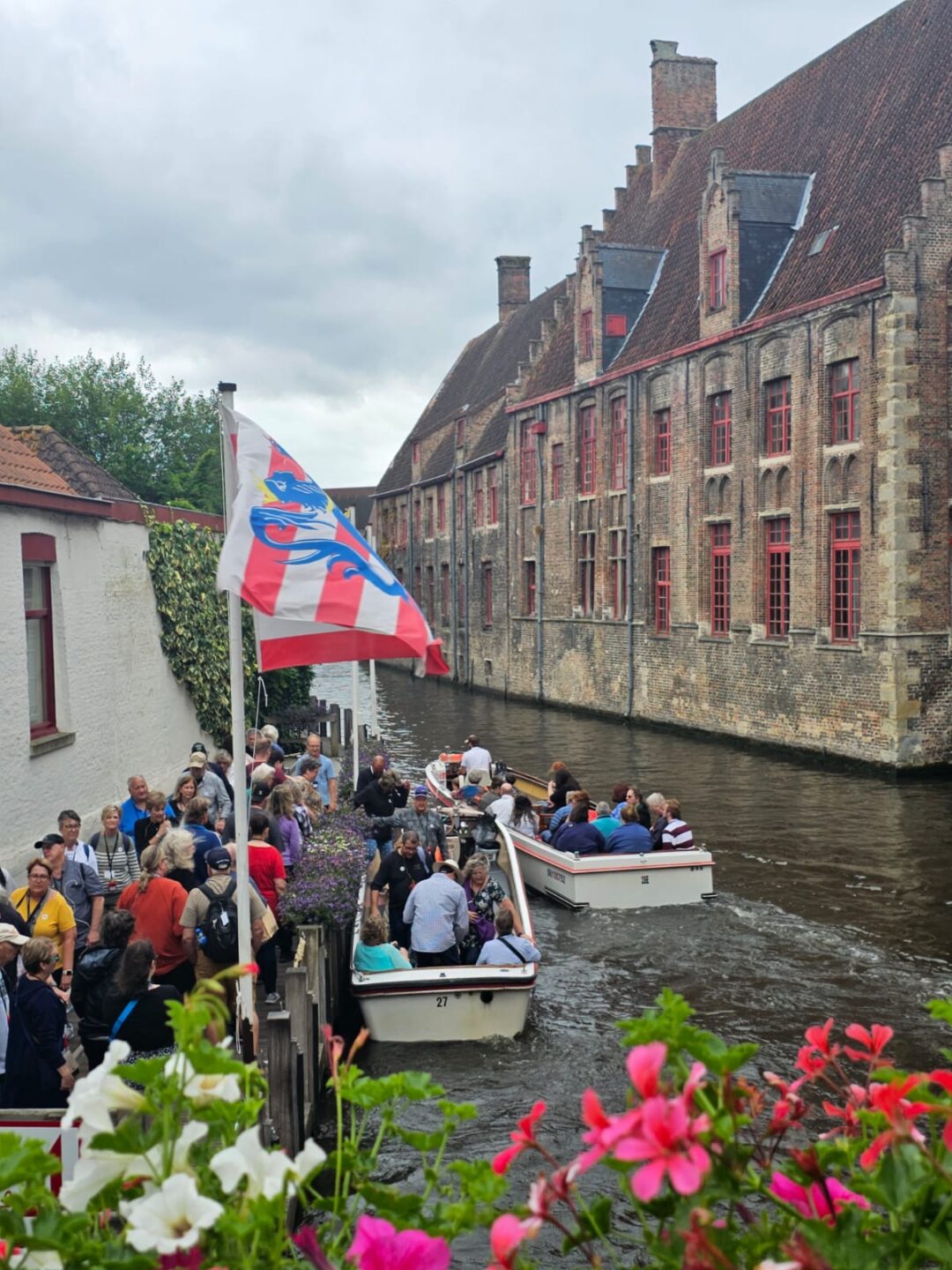 Brujas y sus canales