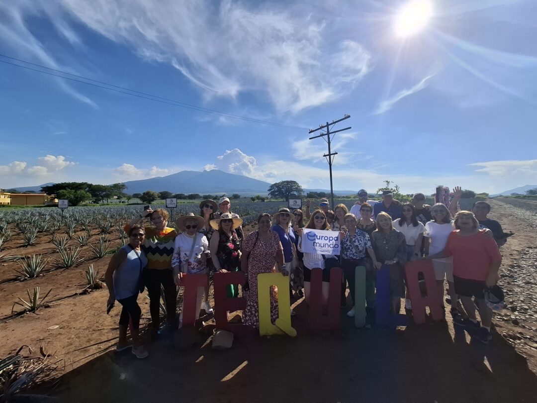 Campos de Agave en Tequila
