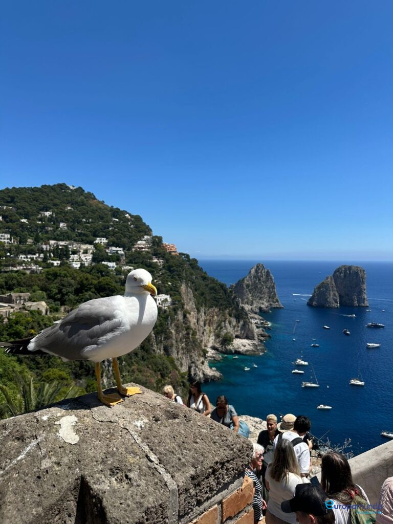 Capri