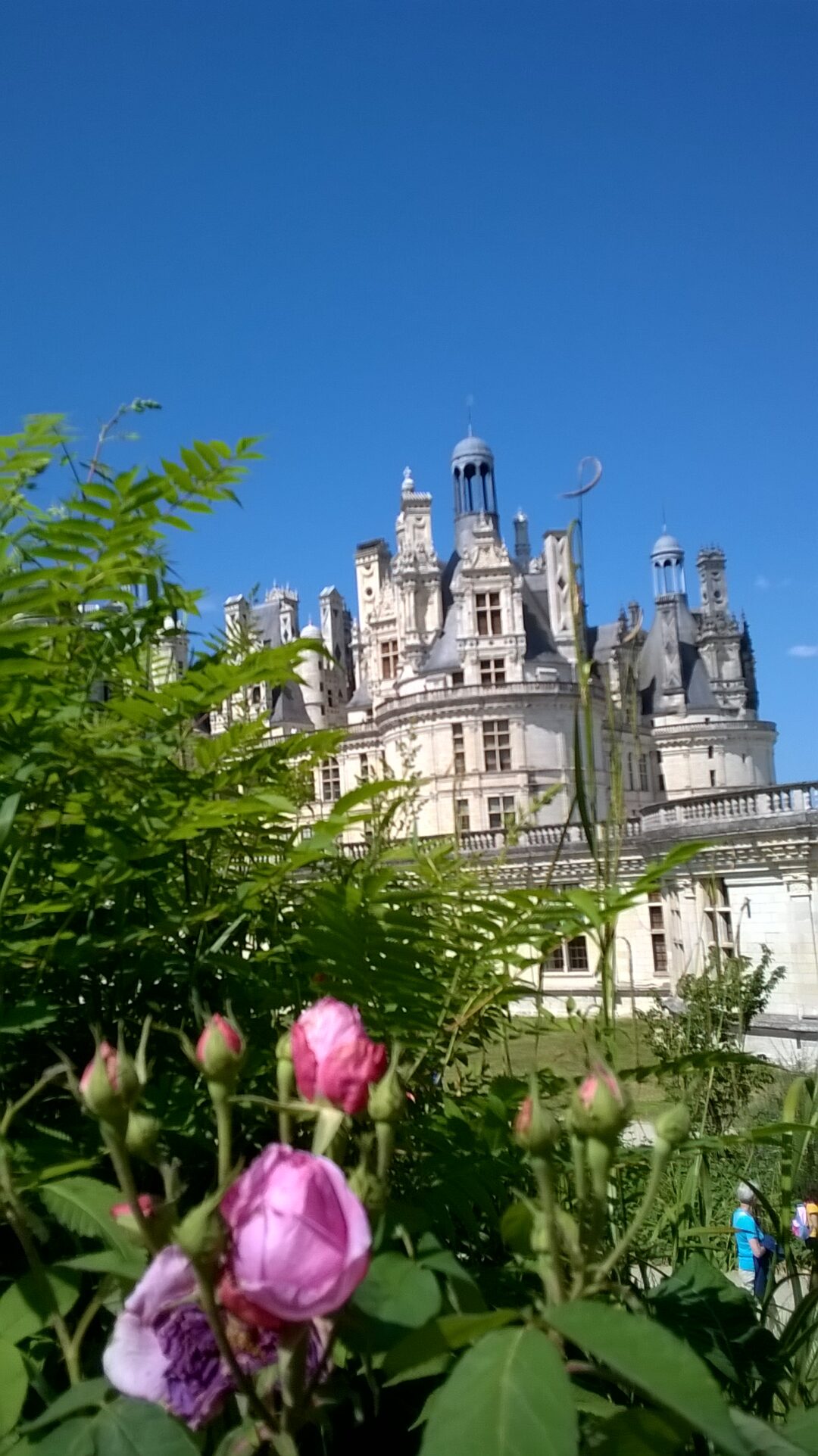 Chambord