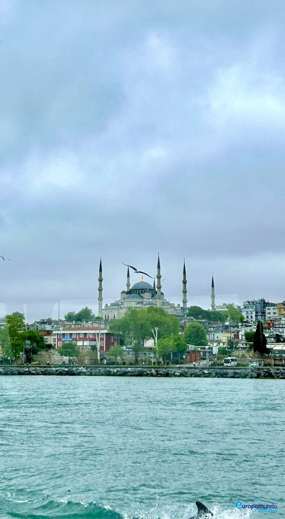 Crucero por el estrecho del Bósforo