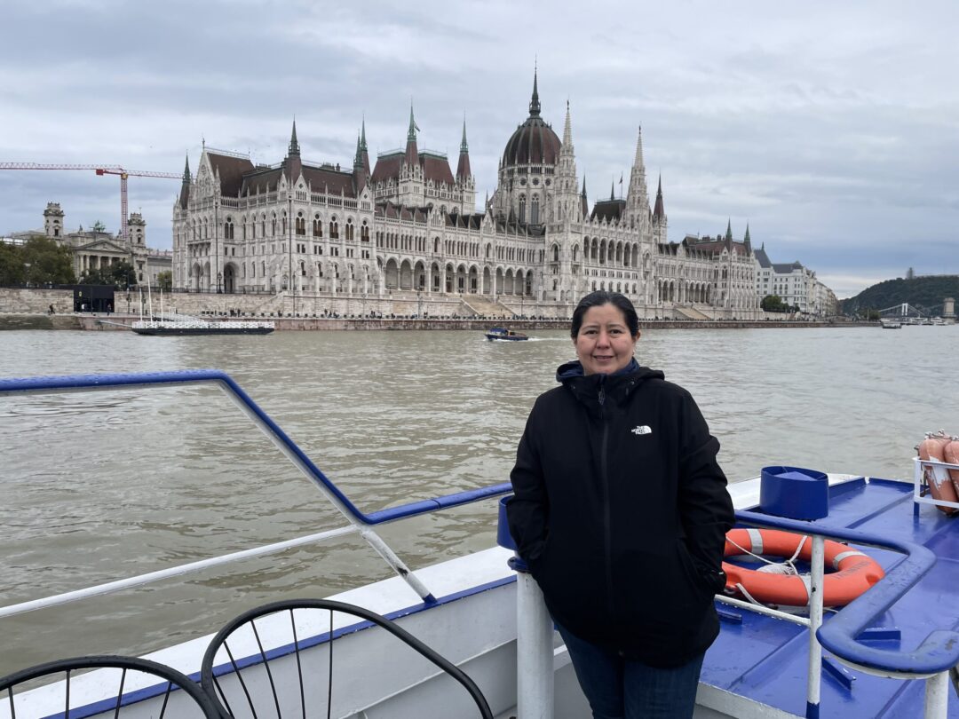 De qué color es el Danubio