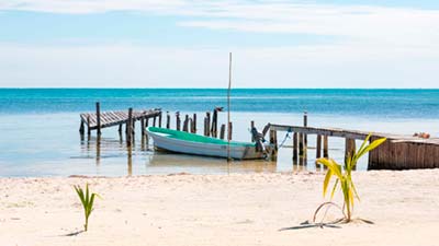 BELICE