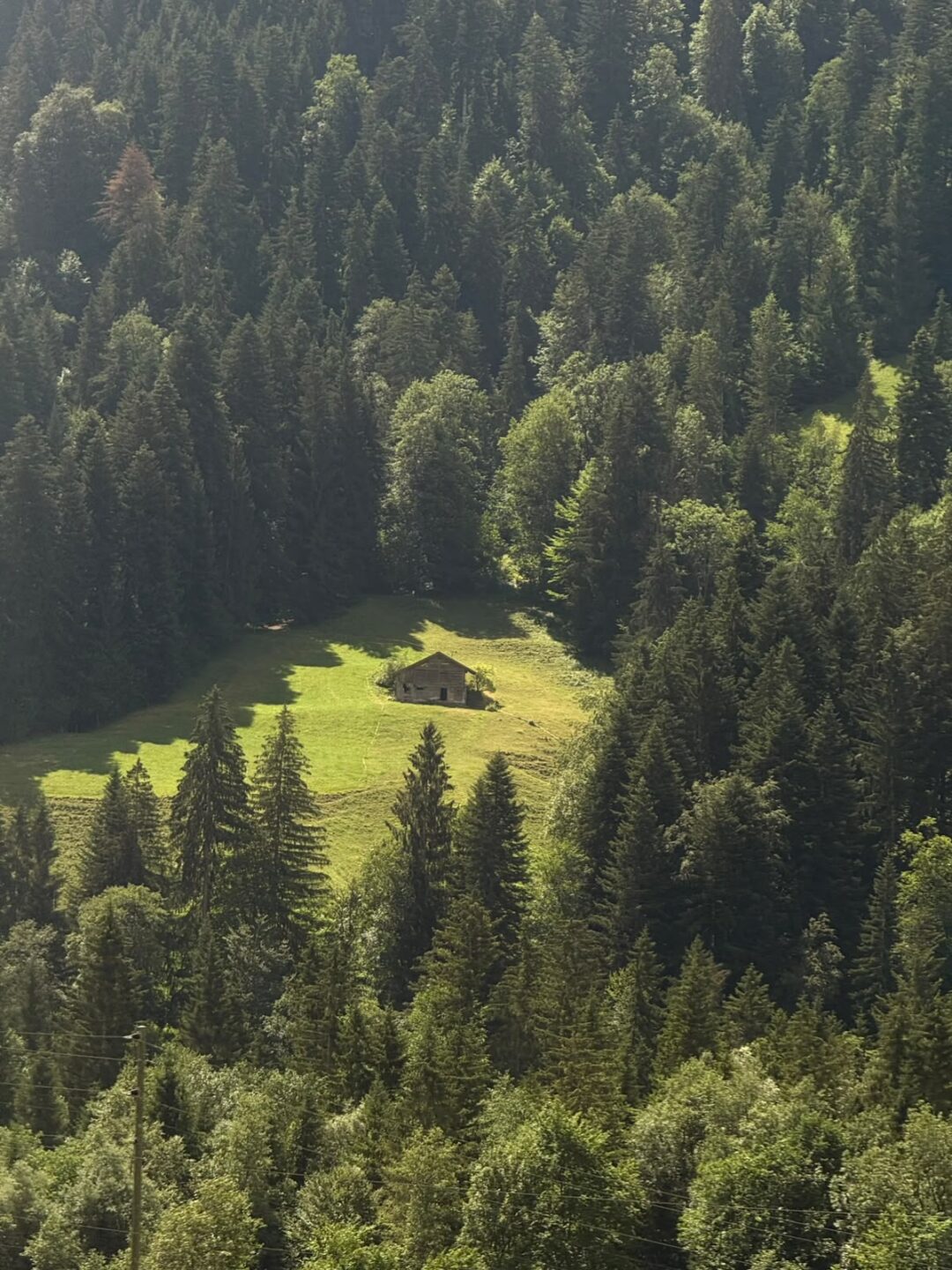 Hidden Cabin