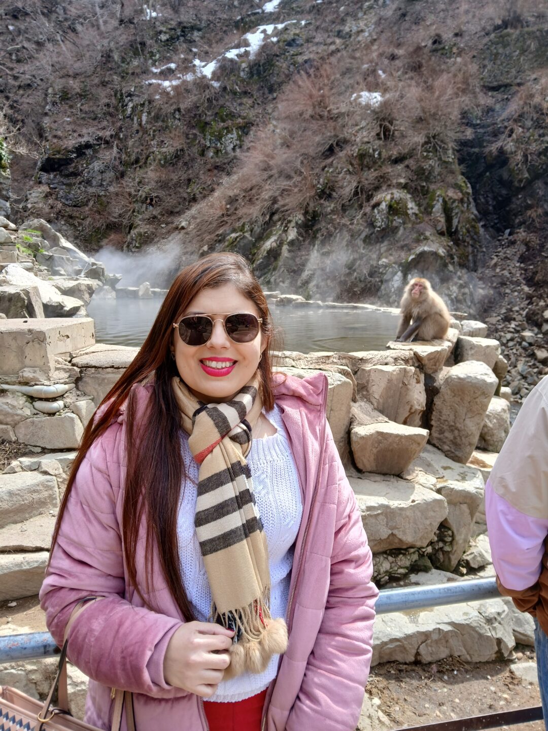 Jigokudani Monkey Park