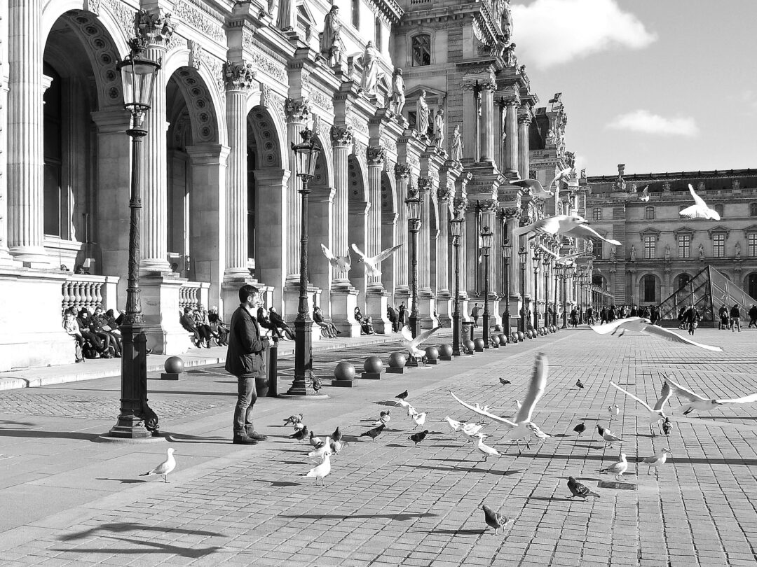 Las palomas del Louvre