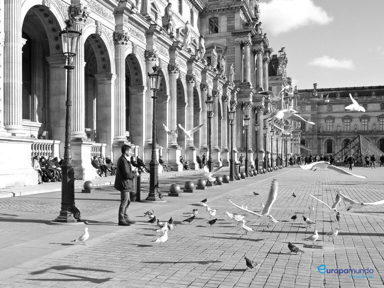 Las palomas del Louvre