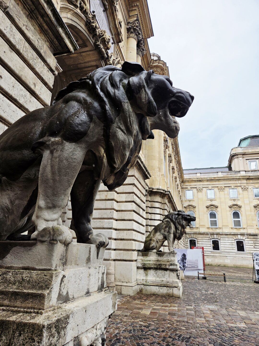 Lions