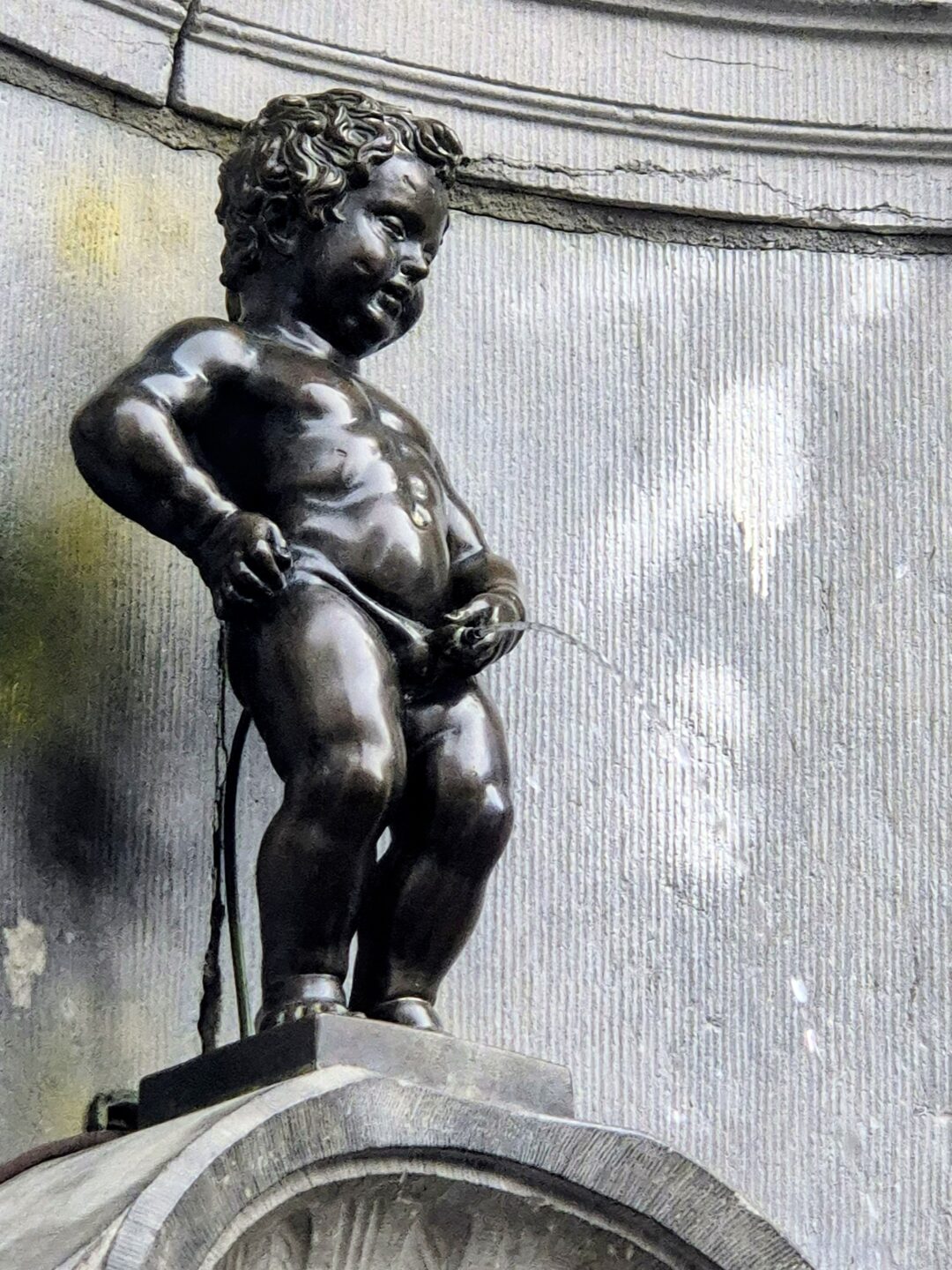 Manejen Pis