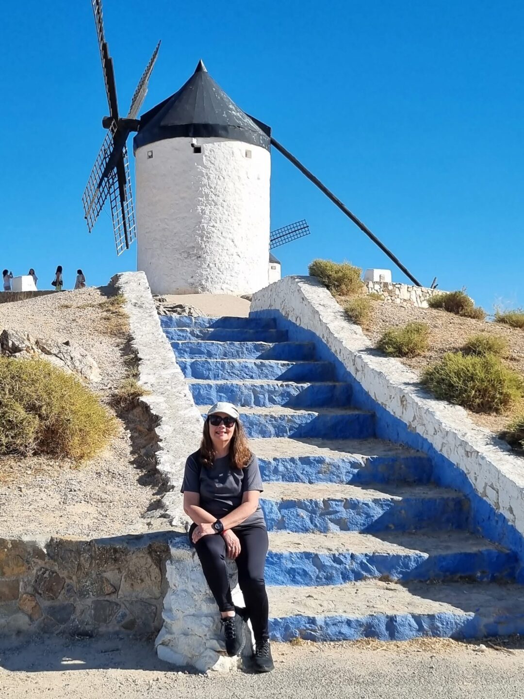 Molinos de viento