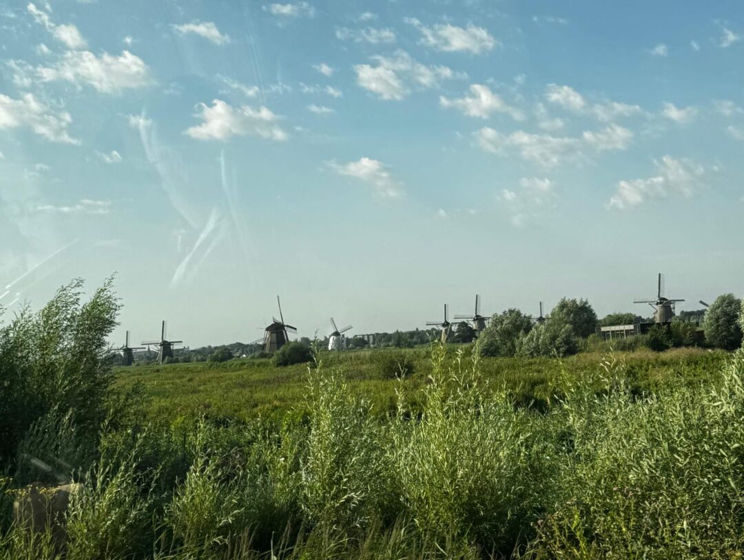 Molinos de viento
