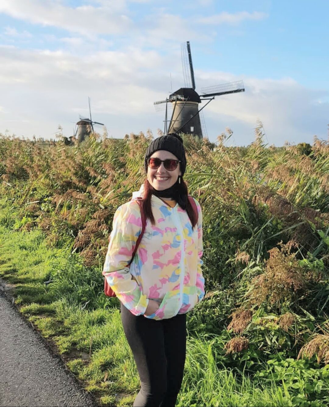 Molinos de viento en Kinderdijk