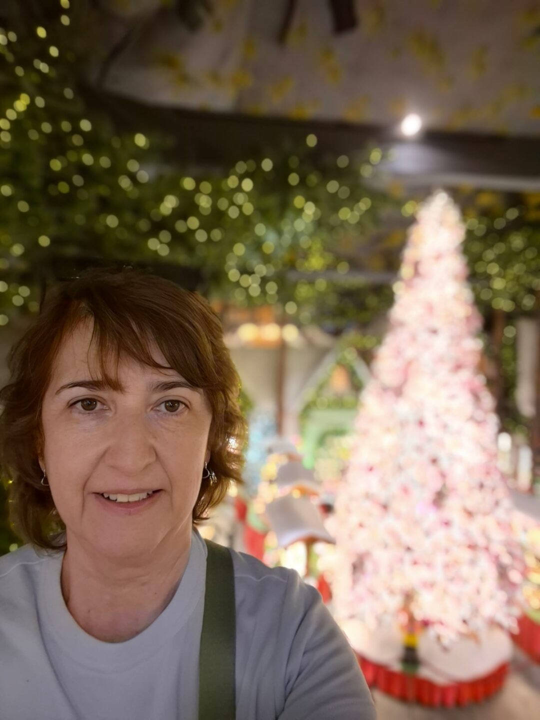 museo de la navidad