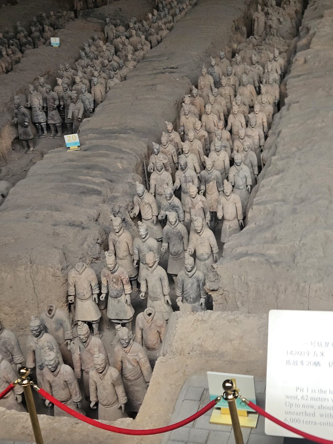 GUERREROS DE TERRACOTA