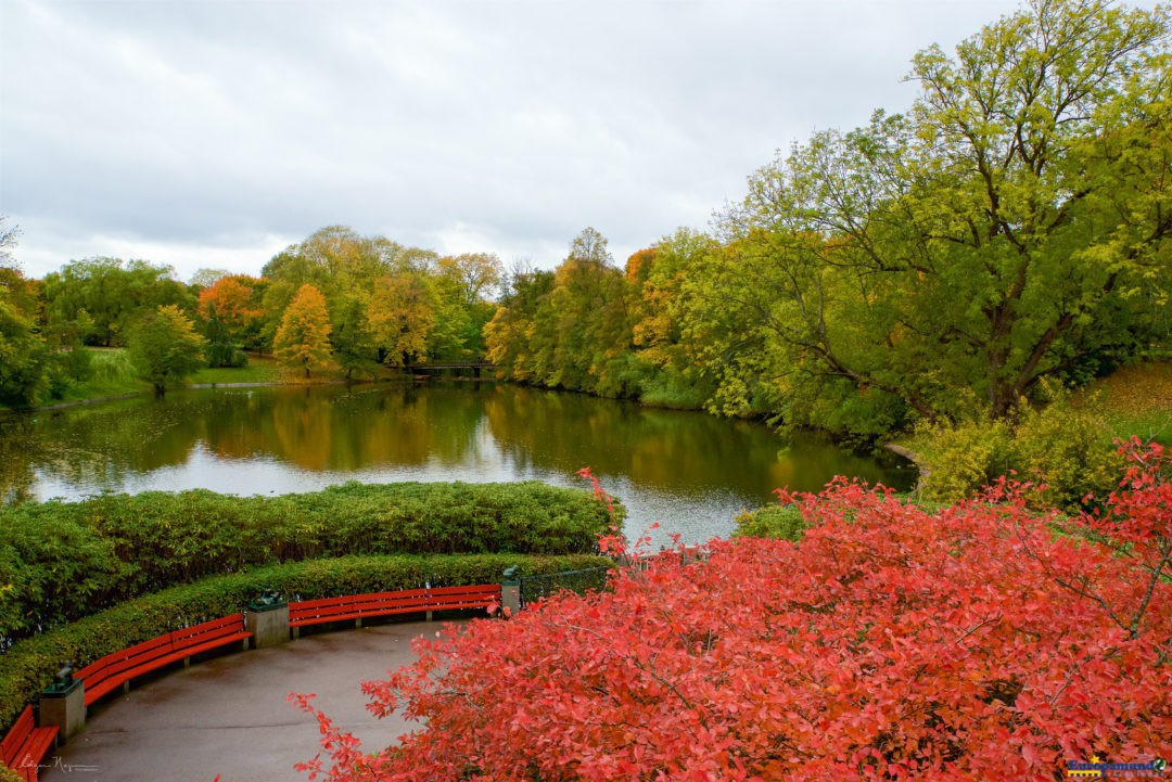 Autumn at The Vigeland Park