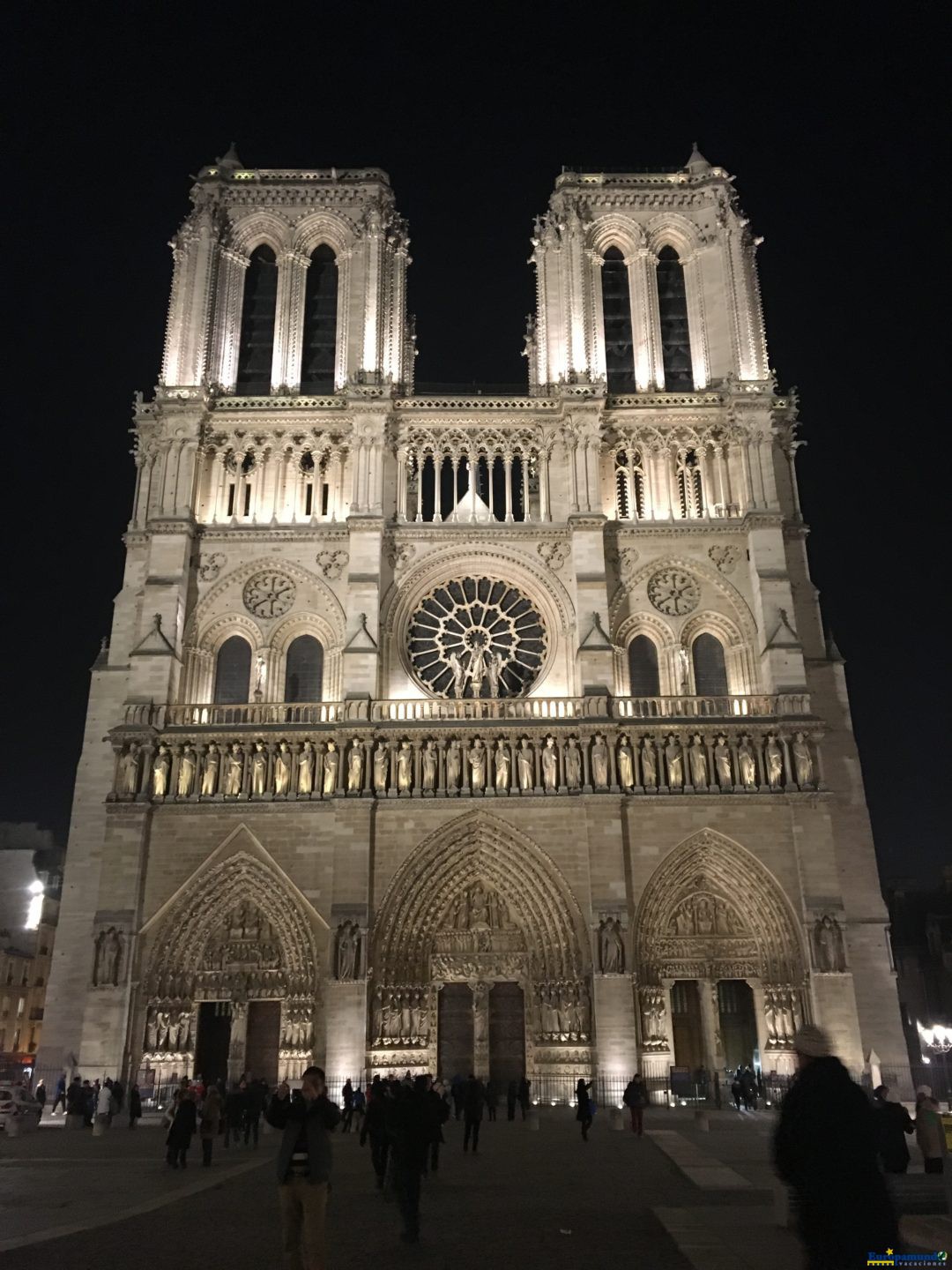 Catedral de Notre Dame en la noche