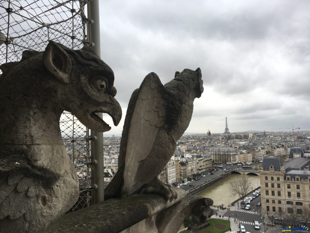 En una de las torres de la catedral de Notre Dame