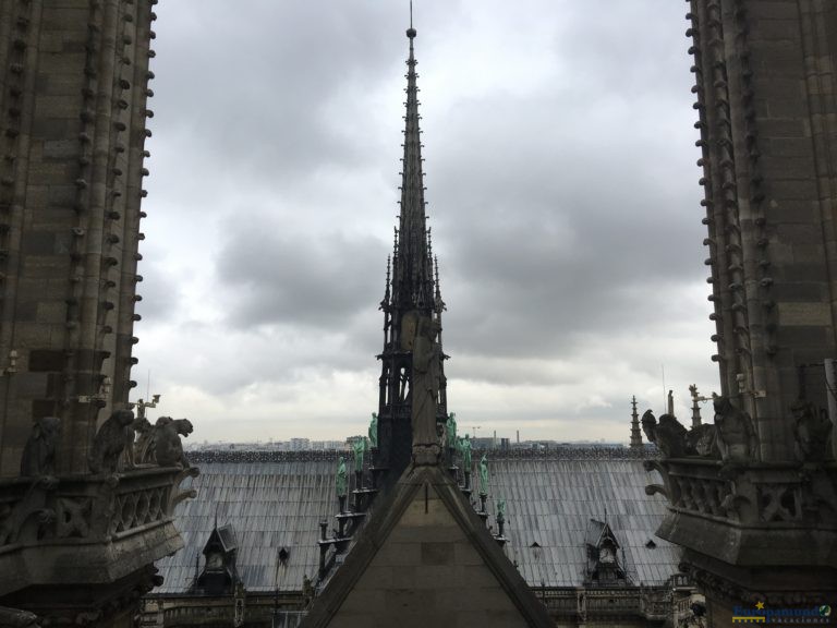 Techo de la Catedral de Notre Dame desde una de las torres