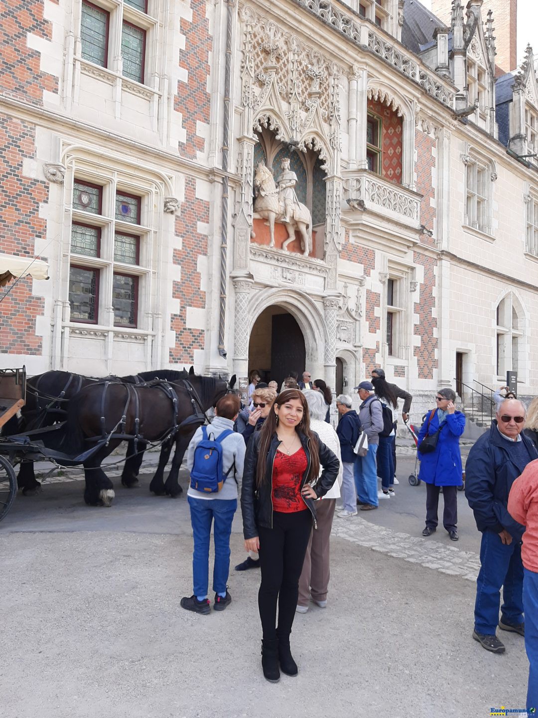 El castillo real, las casas de la ciudad vieja y los monumentos religiosos de Blois forman un conjunto armonioso hermoso