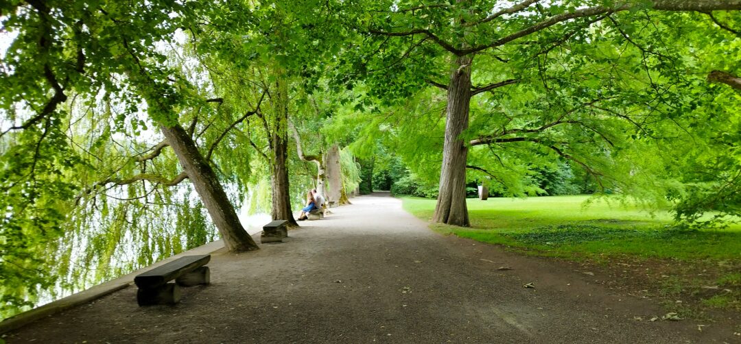 Isla de Mainau