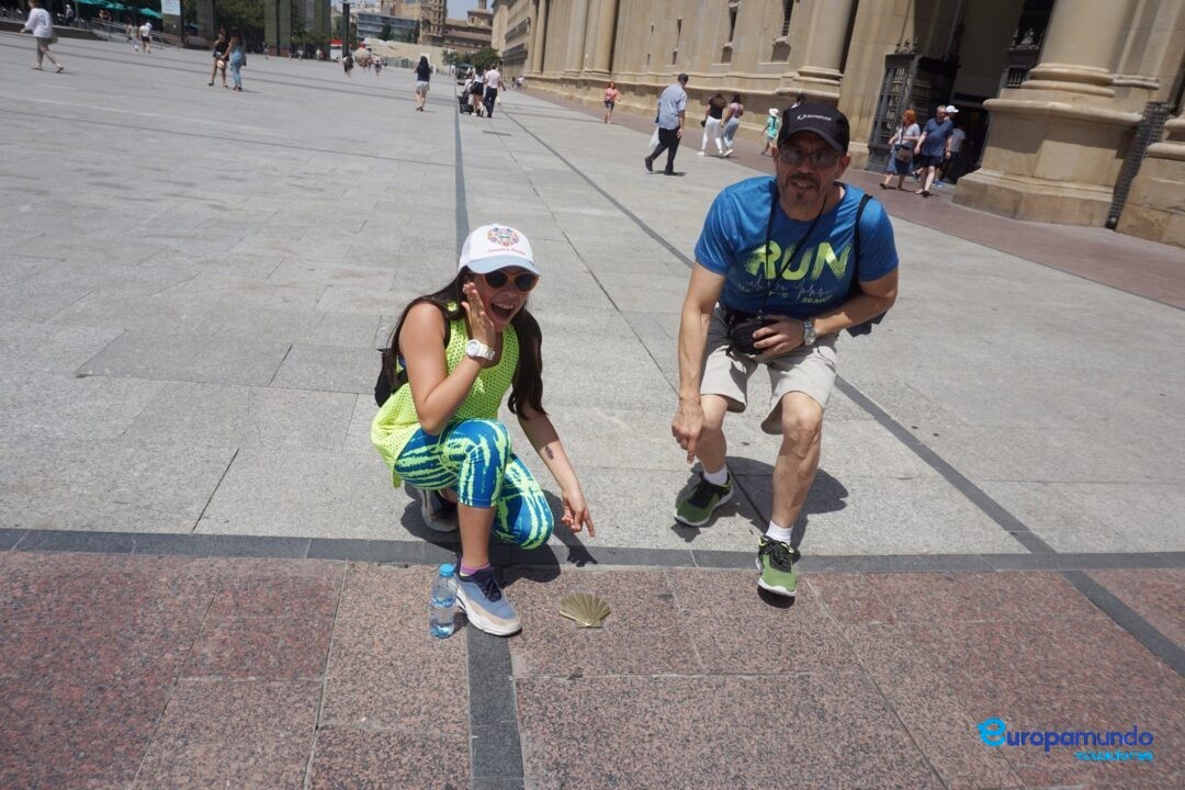 La concha del peregrino