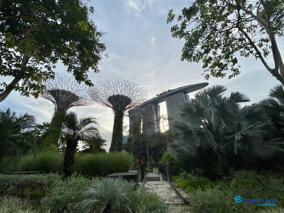 Garden by the bay en Singapur