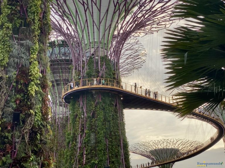 Garden by the bay en Singapur