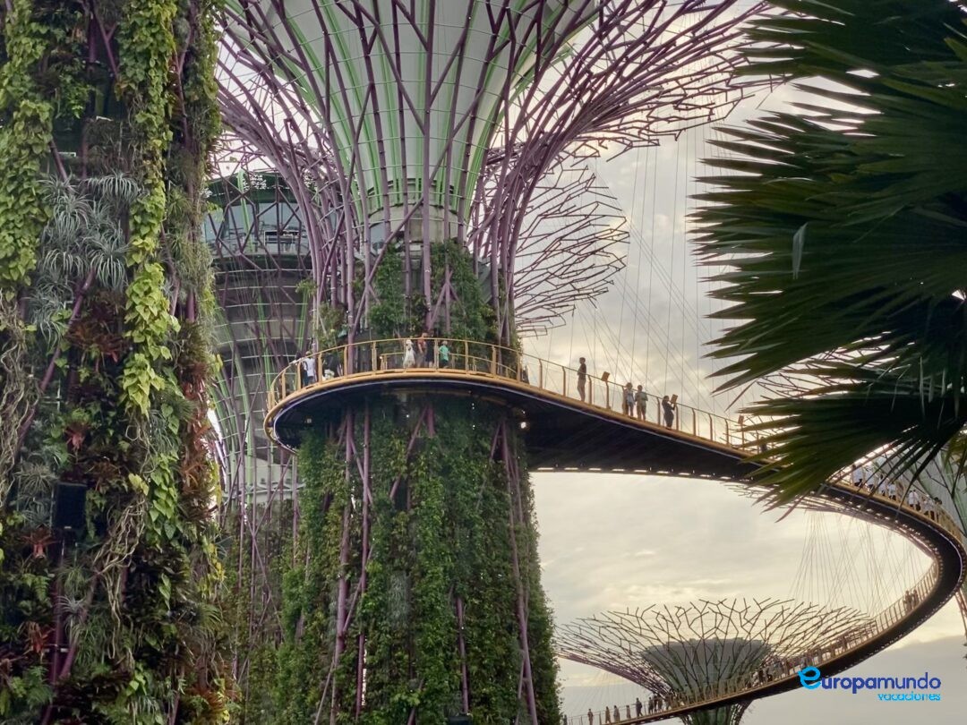 Garden by the bay en Singapur
