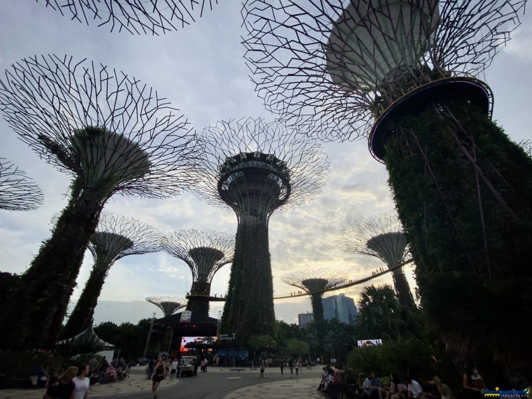 Garden by the bay en Singapur