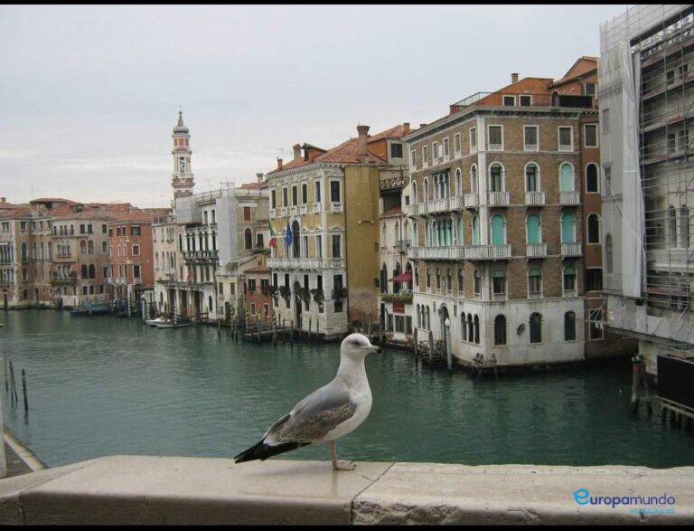 Venecia mi amor