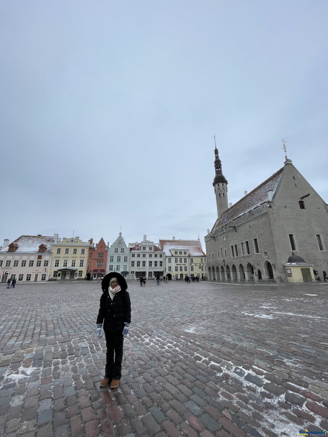 Câmara municipal de Tallin