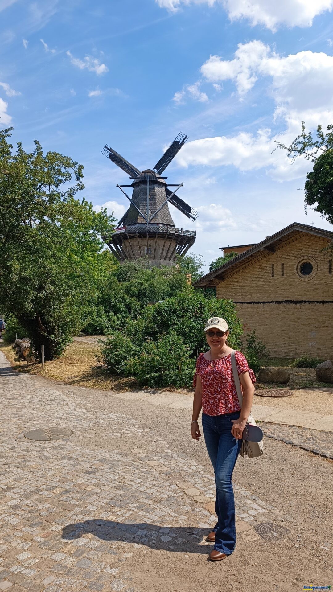 Molinos de viento