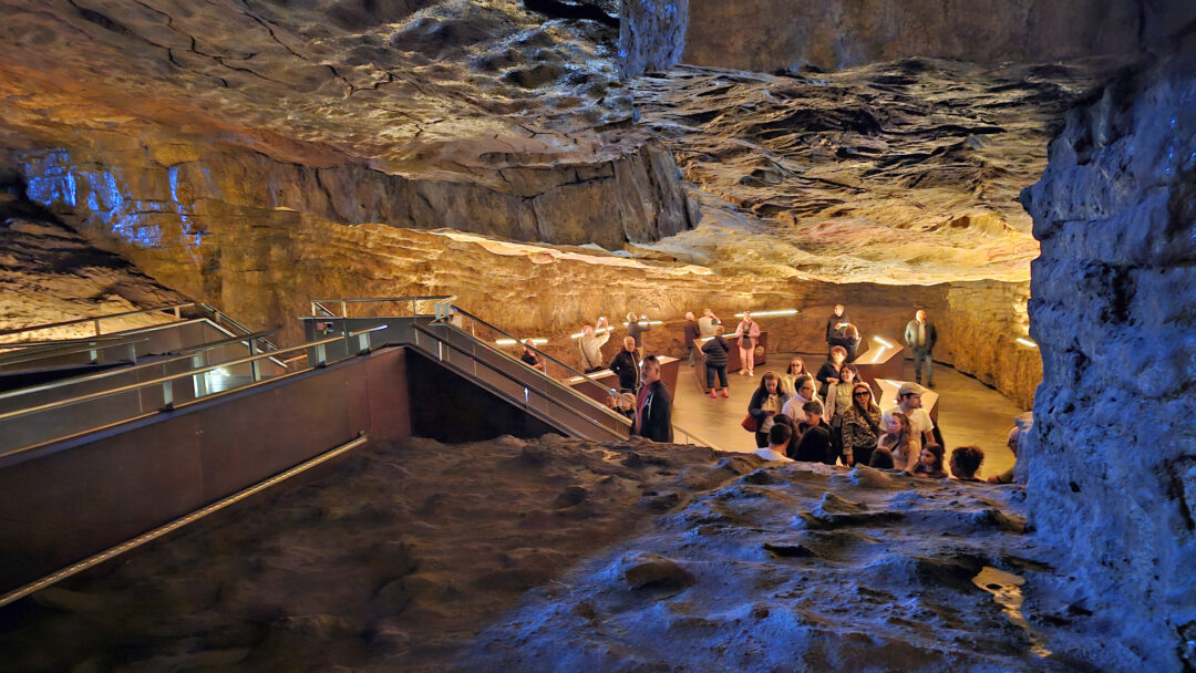 Museo Nacional y las Cuevas de Altamira