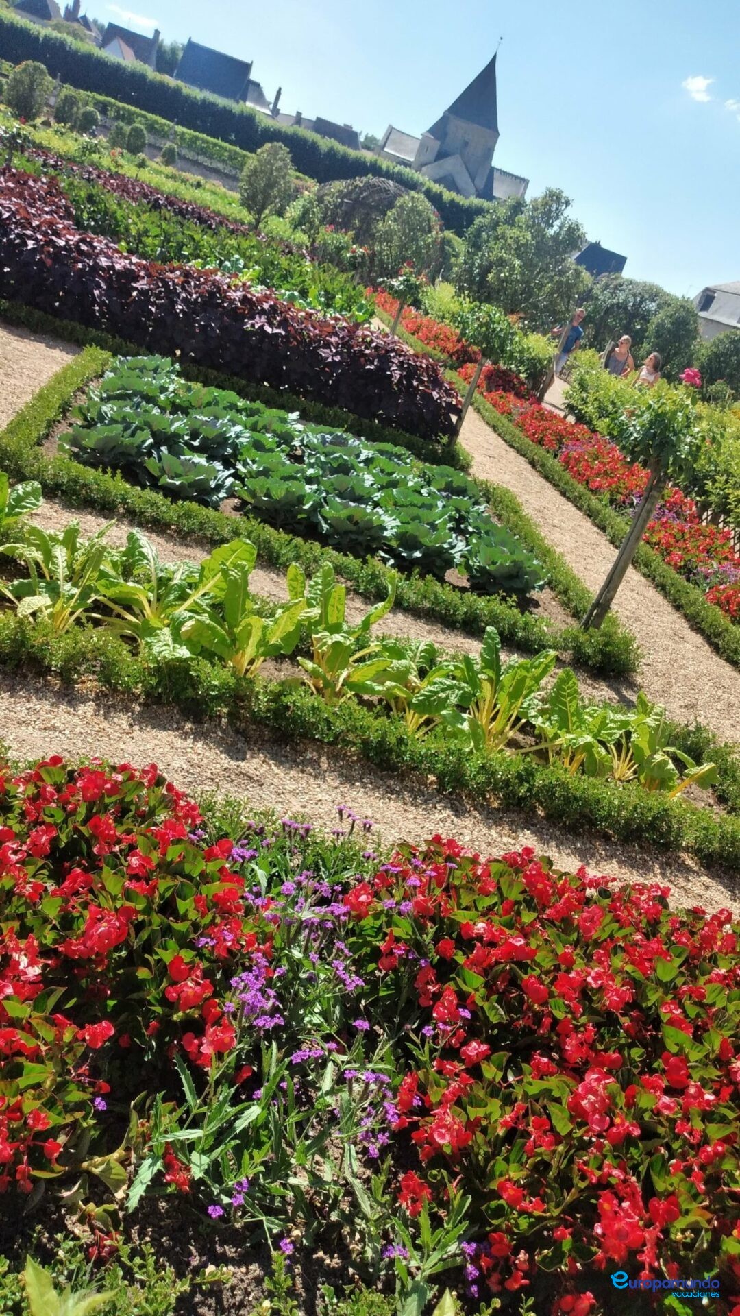 Castillo de Villandry