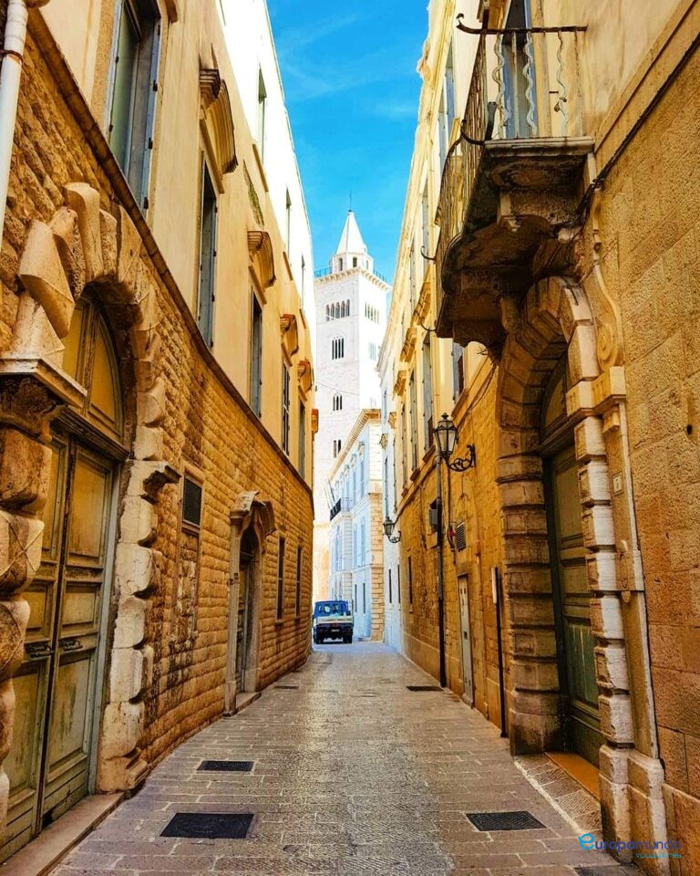 Vista de la torre campanaria de la Catedral