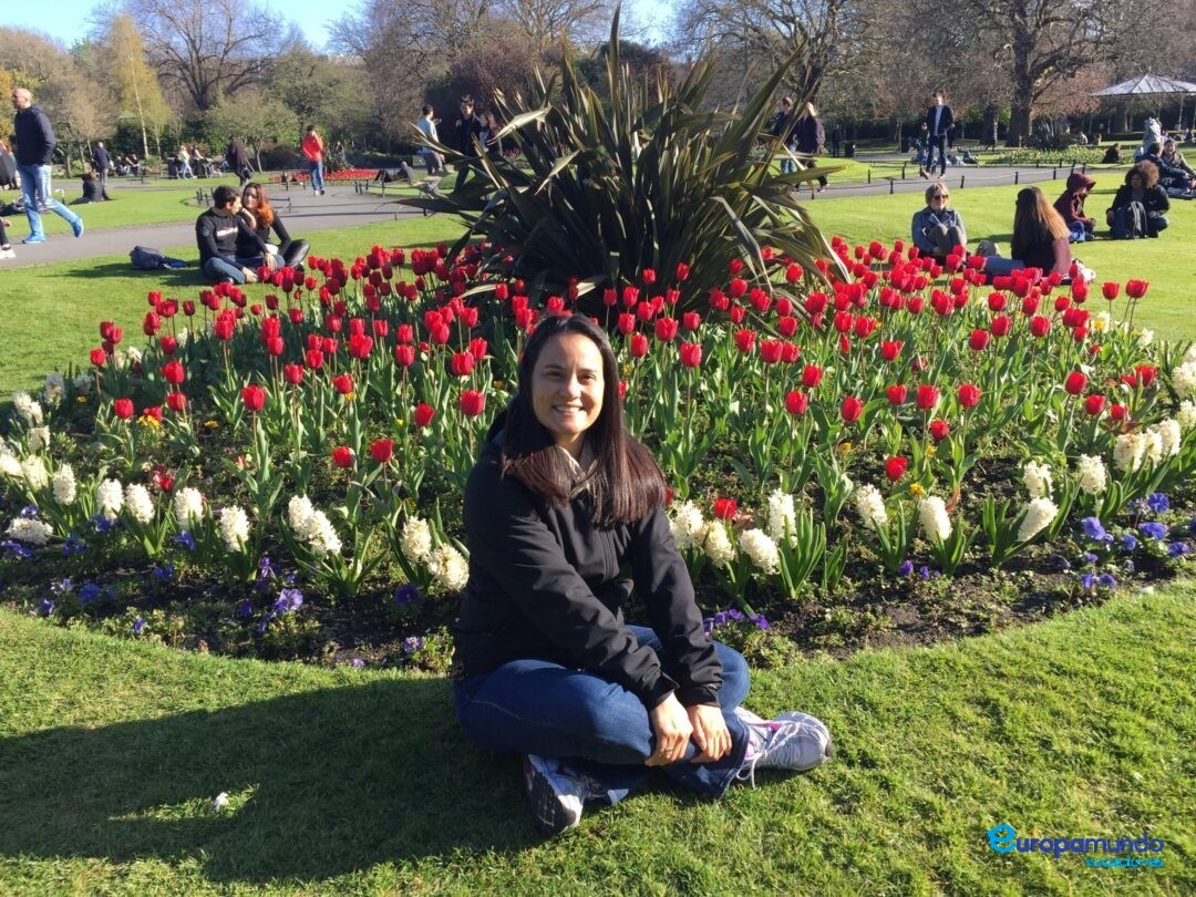 Tulipanes por doquier