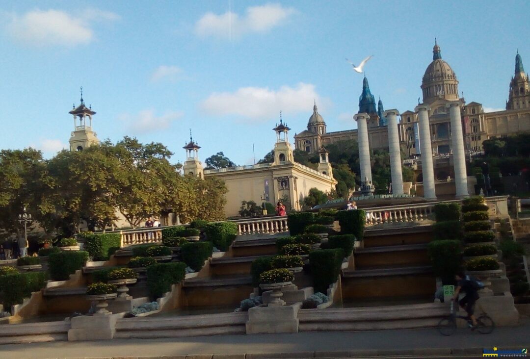 Paloma en el Montjuit