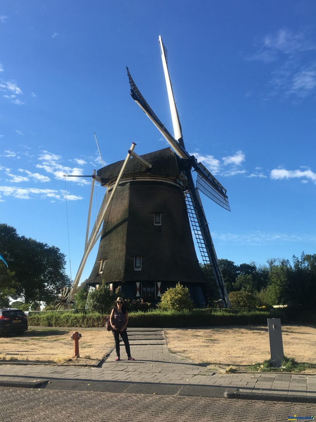 Molinos de viento