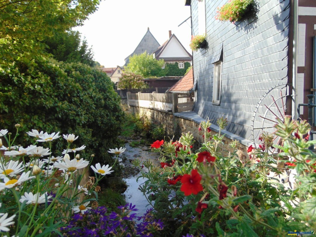 Floridos canales de  Goslar