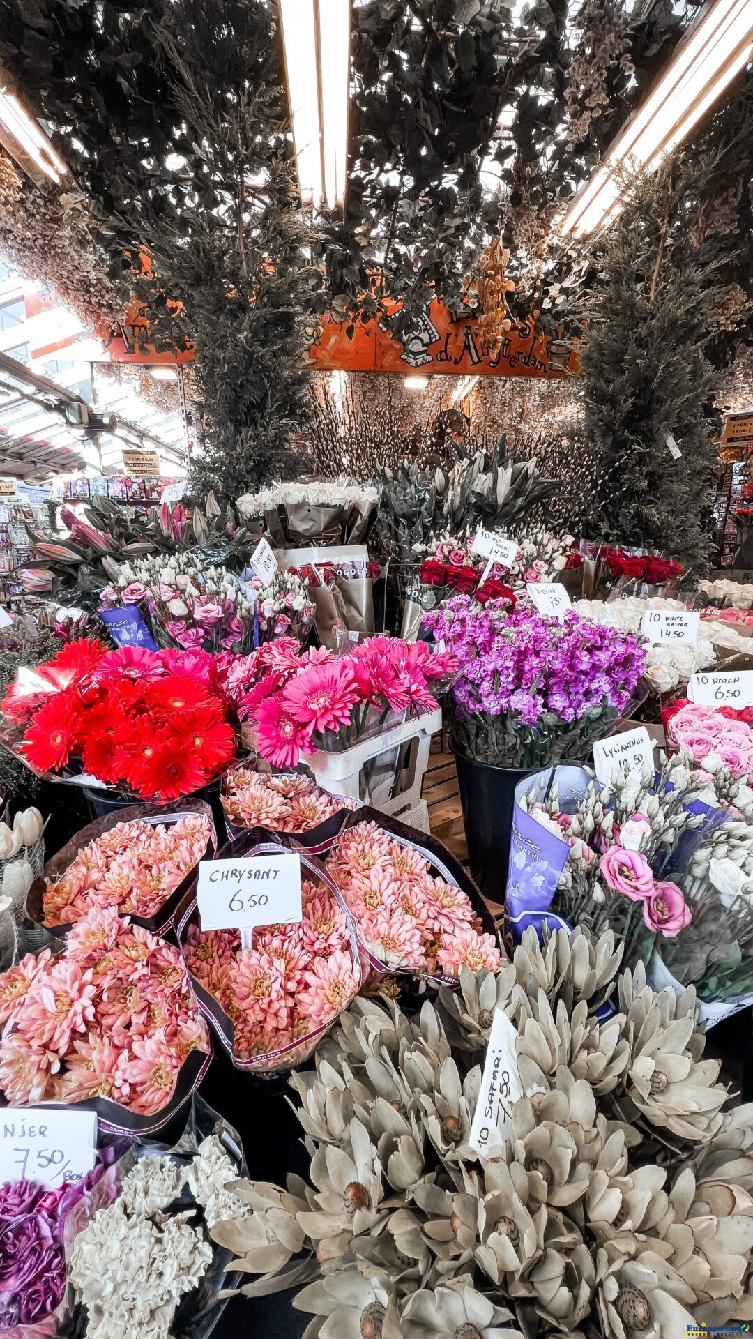 Mercado de las Flores