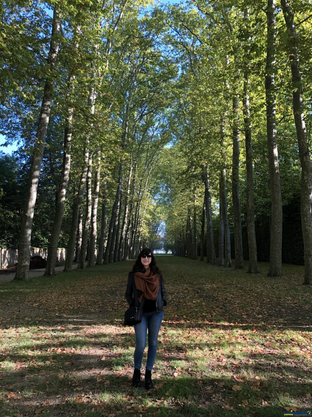 Otoño en París