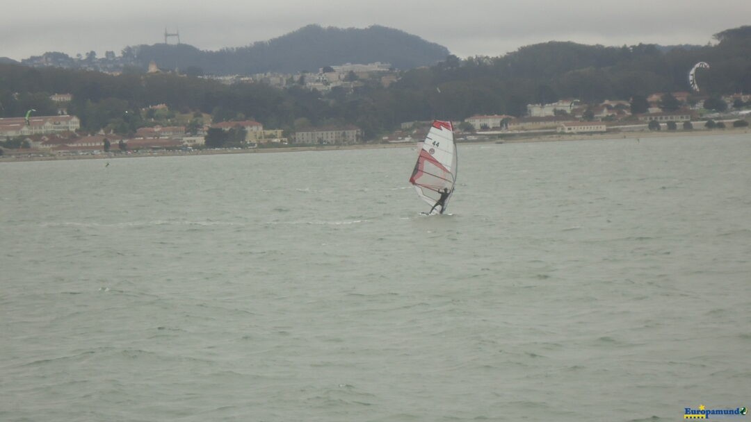 Libertad en el agua