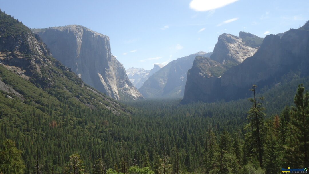 La catedral de la naturaleza.