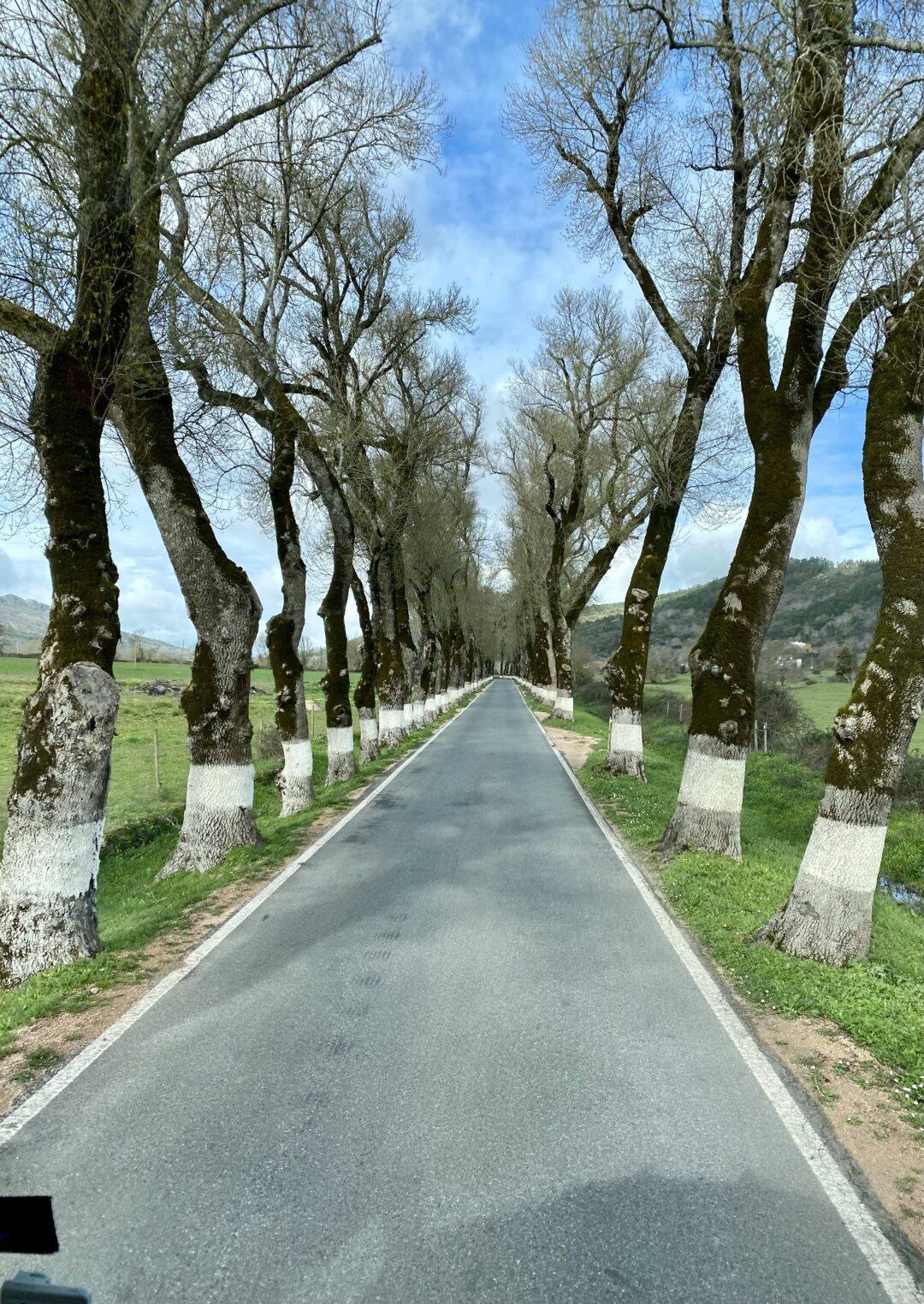 Carretera Nacional Portuguesa