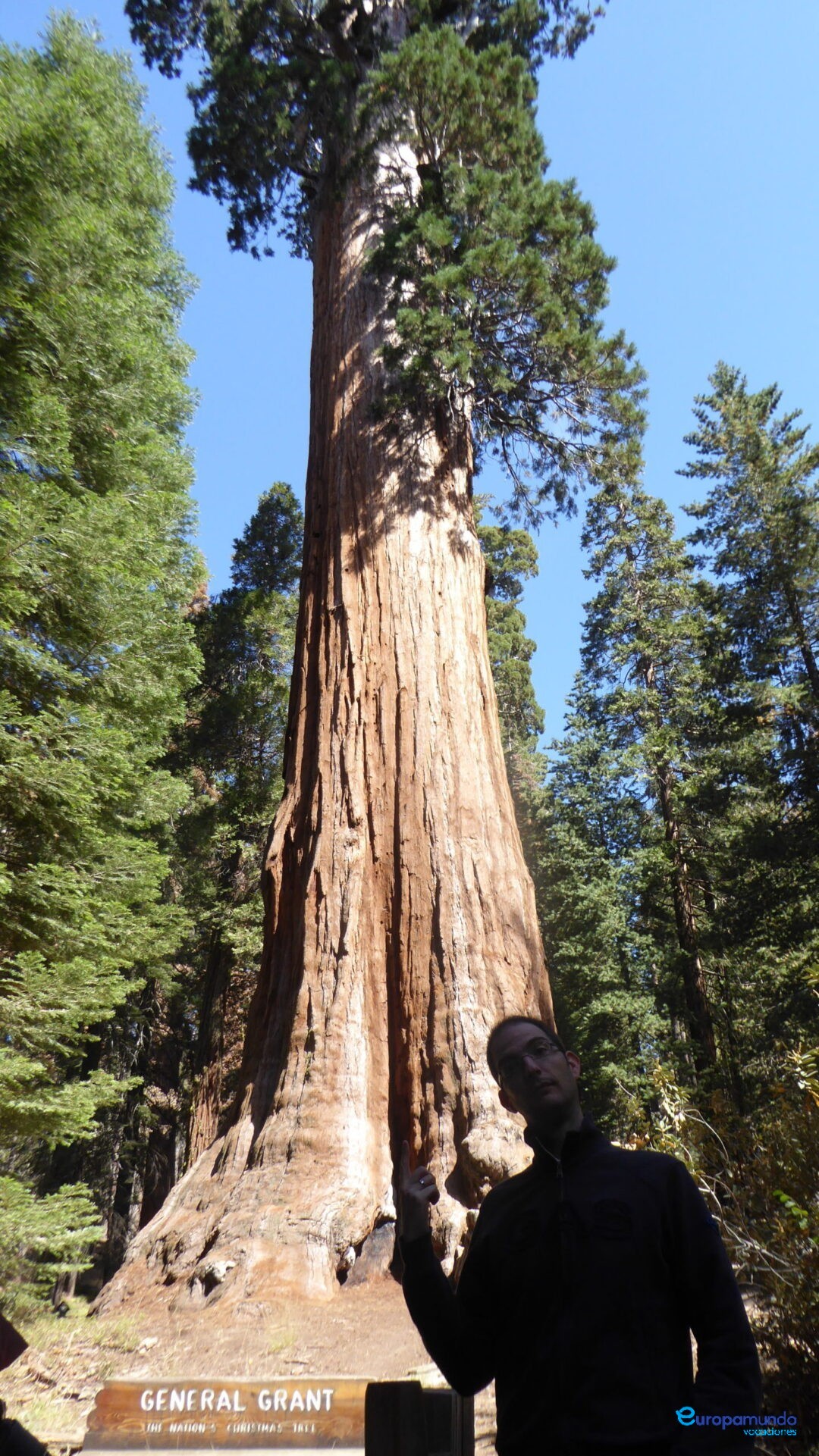 Gran Sequoya National Park