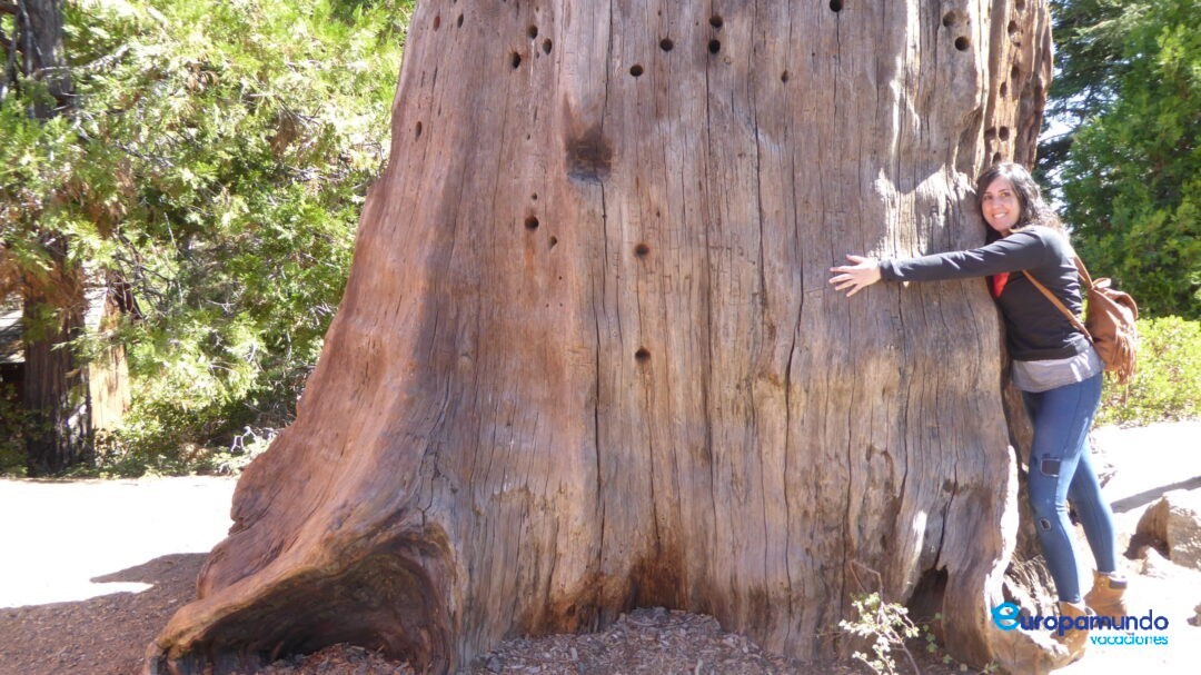 Gran Sequoya National Park