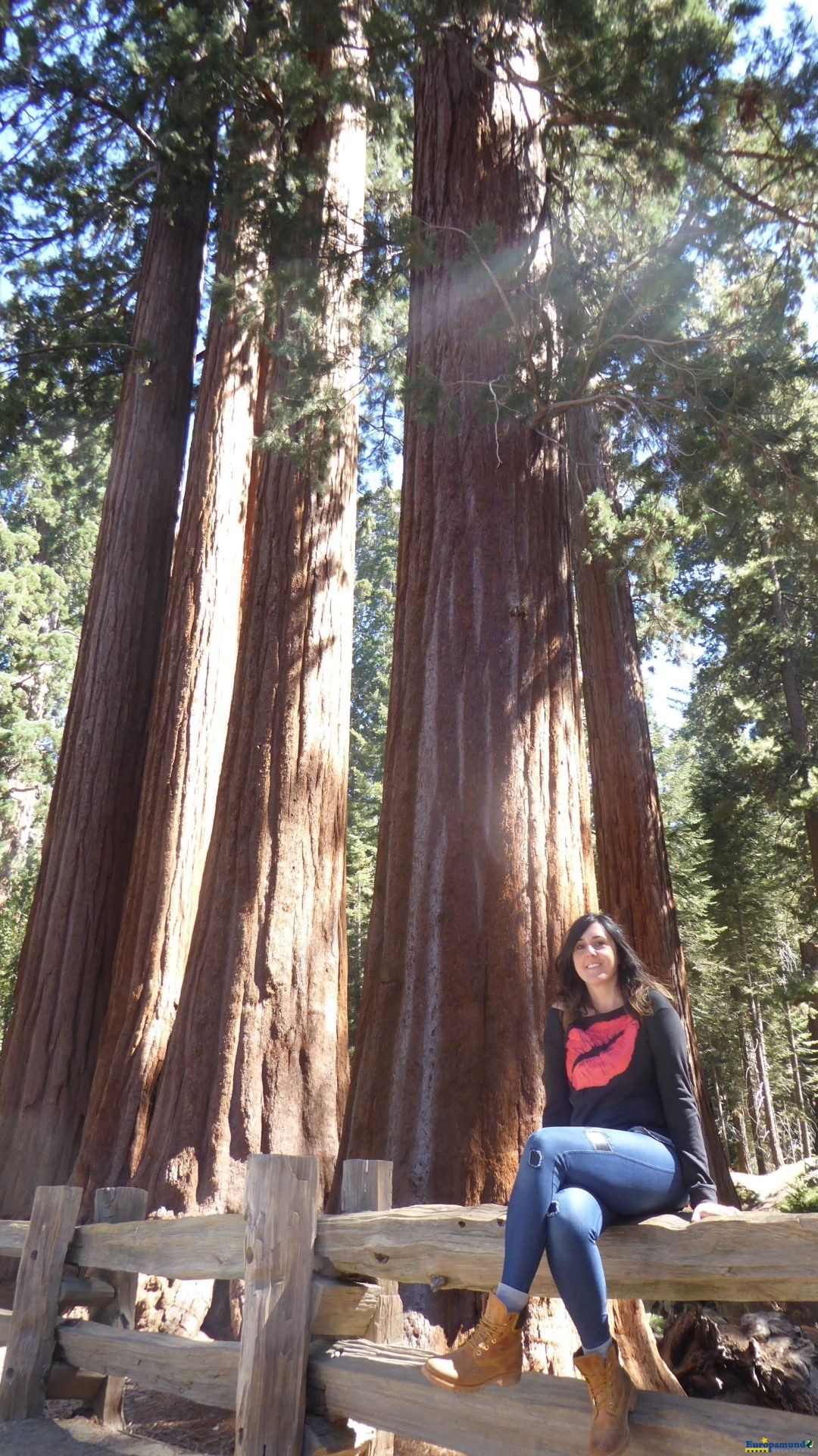 Gran Sequoya