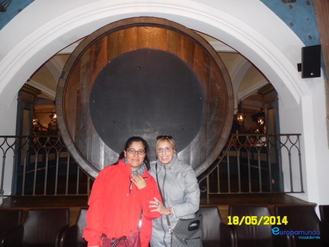 Compañeras de viajes