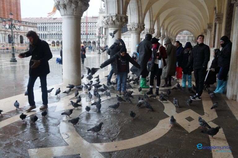 SANTIAGO Y LAS PALOMAS DE VENECIA